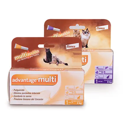 Advantage Multi - Gato