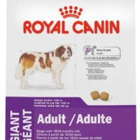 Royal Canin Pos Large Adulto 15.9 Kg
