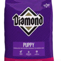 Diamond Puppy 18.1 Kg