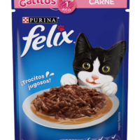 Felix Pouch Gatito Carne 24/85