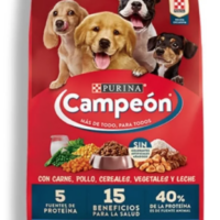 Campeon Cachorro 21 Kg
