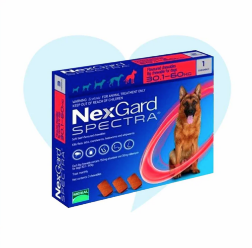 Nexgard 30.1 - 60 Kg