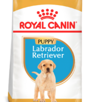 Royal Canin Pos Labrador Puppy 13.6 K