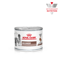 Royal Canin Vet Lata Recovery 145 G