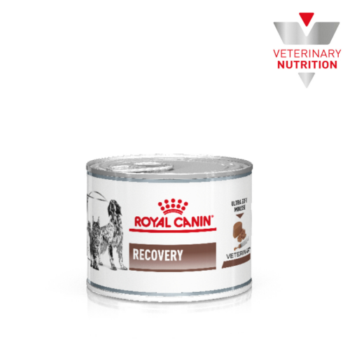 Royal Canin Vet Lata Recovery 145 G