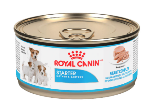 Royal Canin Pos Lata Sta Mousse 165 G