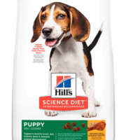 Hill's Science Diet Puppy Pollo 13.6 Kg