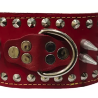 Tos Collar De Piel Picos 2Cm T2