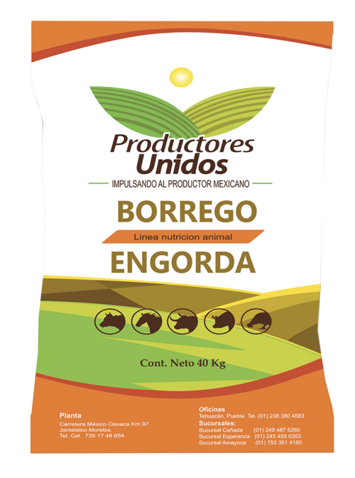 Engorda Borrego 40 Kg