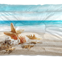 Cama Tapete Mediana Mar