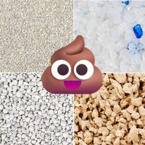 Cuál es la mejor arena para gatos?