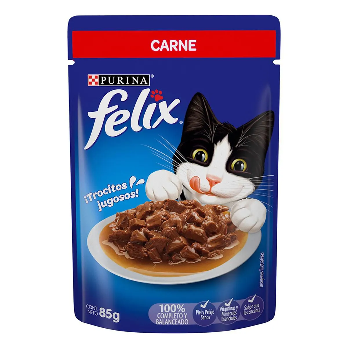 Felix sobre carne