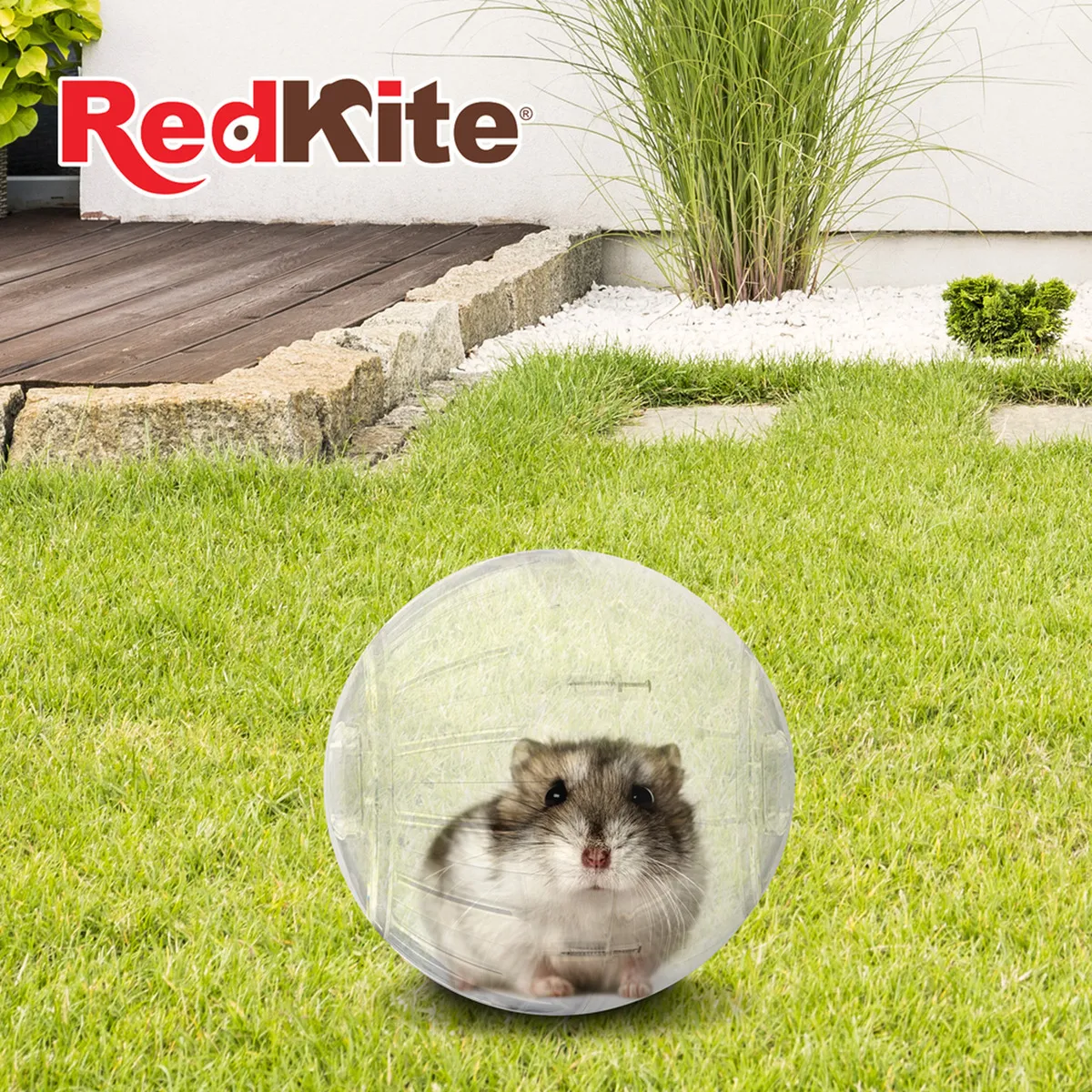 RedKite Esfera ejercitadora para hamster, chica, mediana, grande