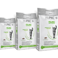 Nupec Felino Adult Indoor