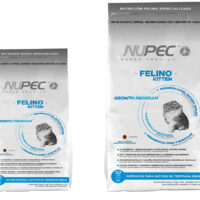 Nupec Felino Kitten