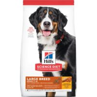 Adult Large Breed