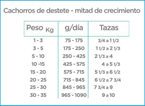 Nupec Cachorro - Image 4