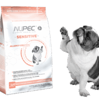 Alimento seco especializado