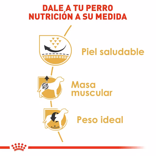Royal Canin - Pug Adulto - Image 4
