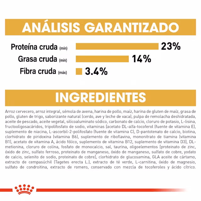 Royal Canin - Pug Adulto - Image 6