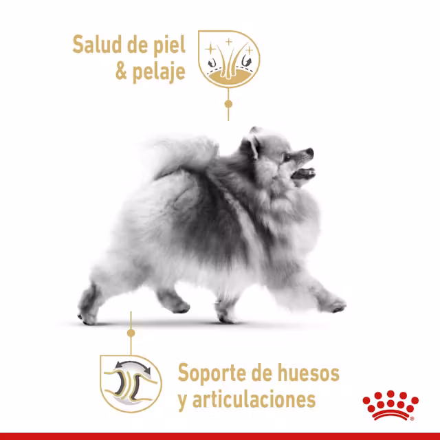 Royal Canin - Pomeranian Adulto - Image 2