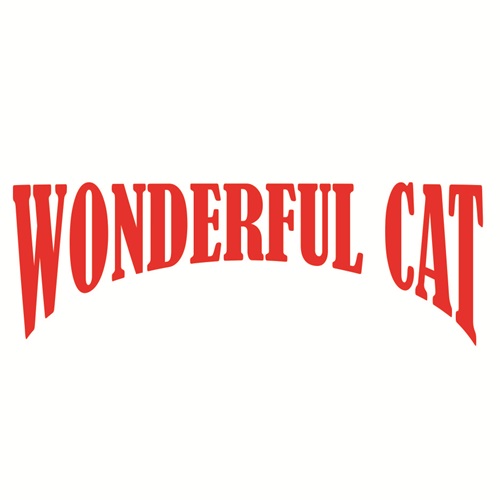 Wonderful Cat