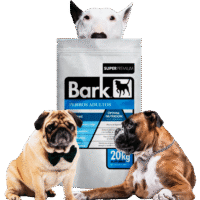 Bark Adulto