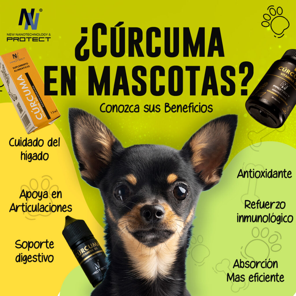 NNprotect Mascotas!