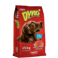 Croquetas Campi Dyno 25kg